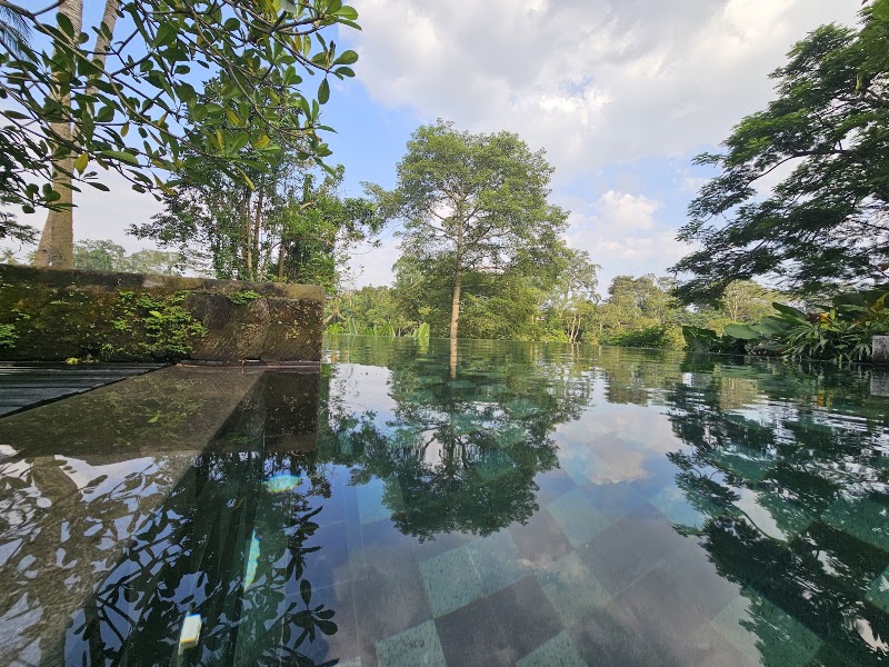 Infinity forest pool - Infinity forest pool, F7PH+3CW, Peliatan, Ubud, Gianyar Regency, Bali 80552, Indonesia