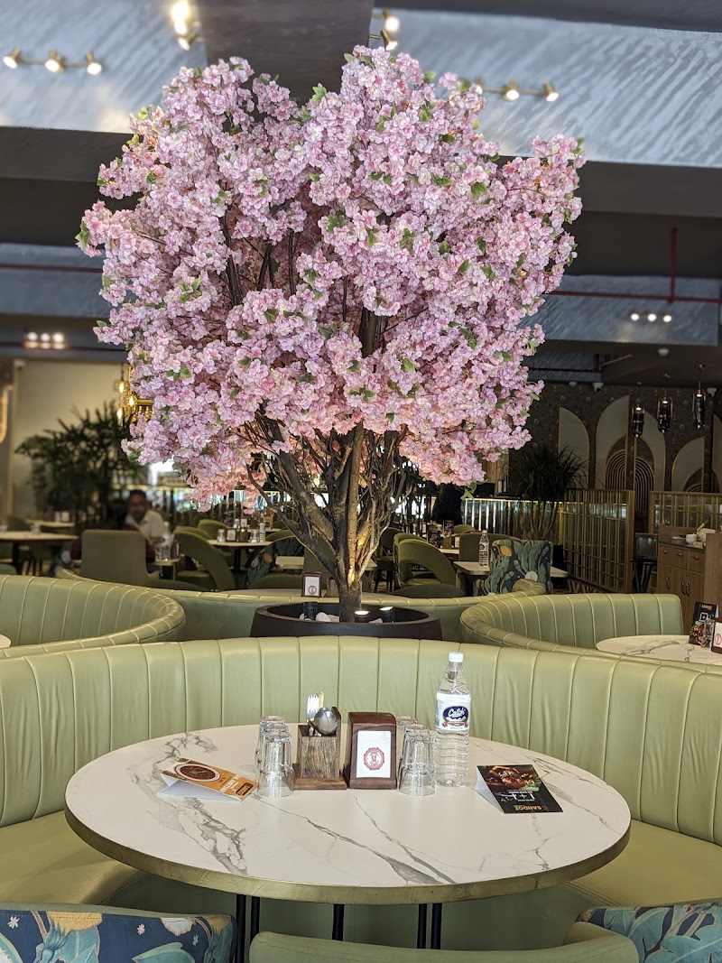 Sandoz Restaurant & Bar - Golf Course Road, Gurugram - Sandoz Restaurant & Bar - Golf Course Road, Gurugram Ground Floor, Golf Course Rd, Suncity, Sector 54, Gurugram, Haryana 122011, India