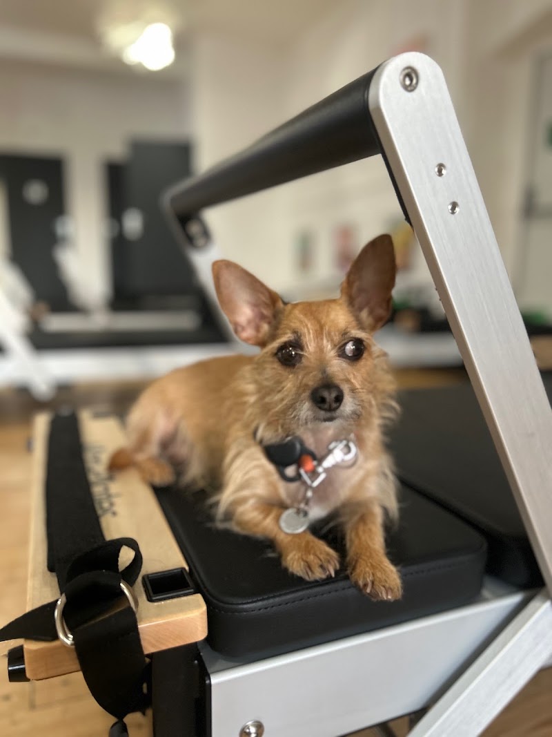 Strong and Bendy Reformer - Strong and Bendy Reformer, 5 Prince Edward Rd, London E9 5LX, UK