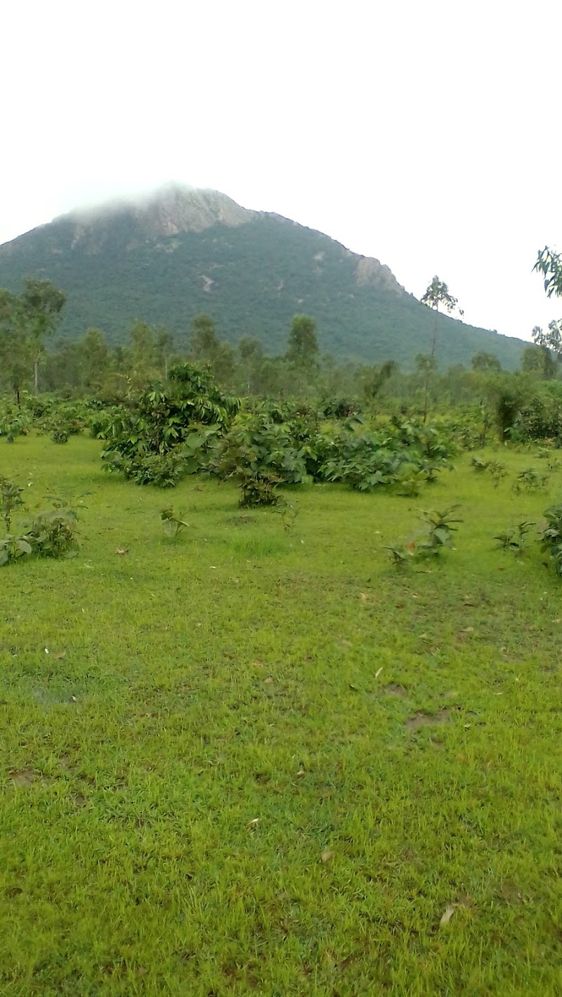 Shree Shidhha Muni Aashram, Dalha Giri - Shree Shidhha Muni Aashram, Dalha Giri, 3CW5+VMQ, Dalhadamami, Chhattisgarh 495552, India