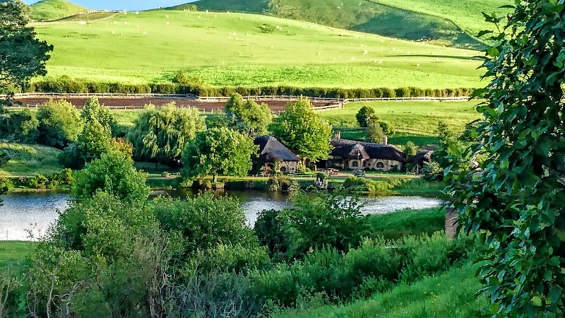 Matamata - Matamata Matamata, New Zealand
