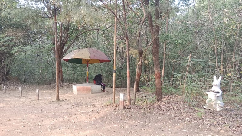 Rose Garden - Rose Garden, VCQ6+H5G Paryawaran Park, TV Tower Rd, Kelo Vihar, Raigarh, Chhattisgarh 496001, India