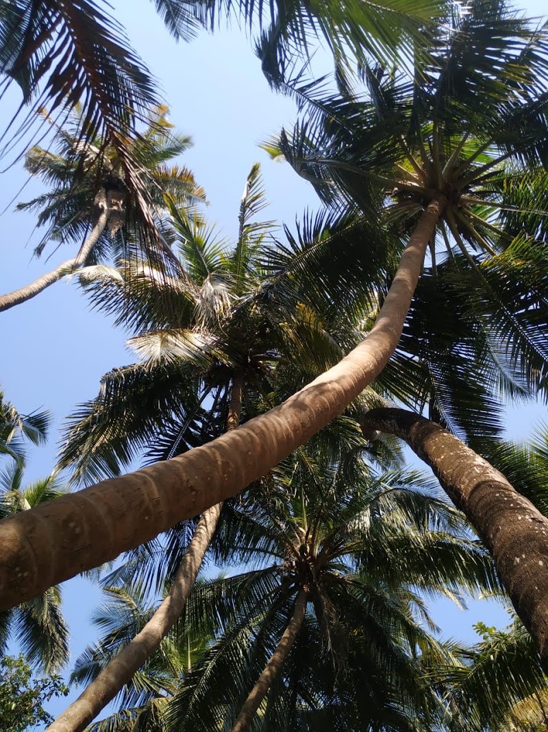 Sai Homestay - Sai Homestay 3F56+8C4, Malwan Exit Rd, Dhuriwada, Malvan, Maharashtra 416606, India