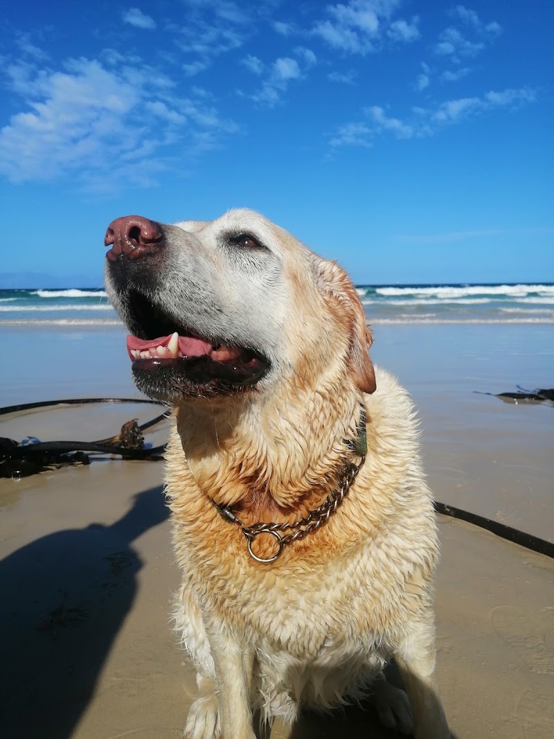 Glencairn Beach - Glencairn Beach, Main Rd, Cape Town, 7975, South Africa