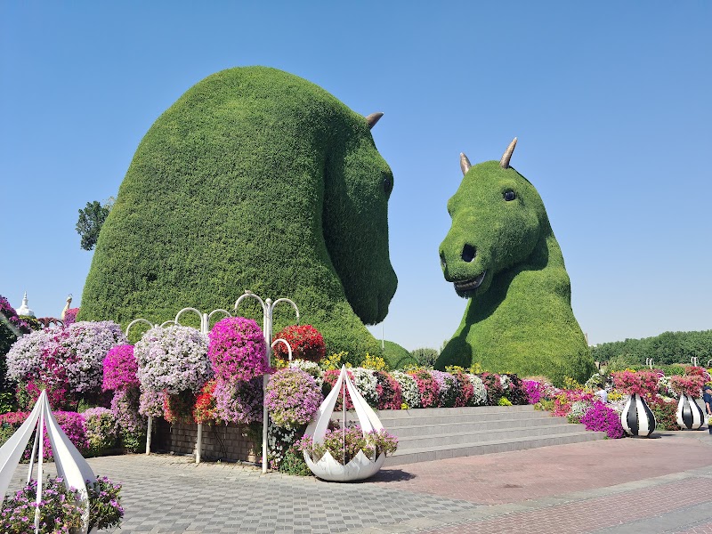 Miracle Garden Airplane Flowers - Miracle Garden Airplane Flowers, Unnamed Road - Arjan-DubailandAl - Al Barsha South - Dubai - United Arab Emirates