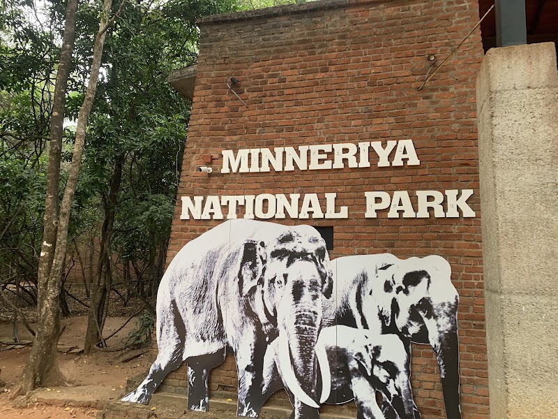 Minneriya National Park - Minneriya National Park Sri Lanka