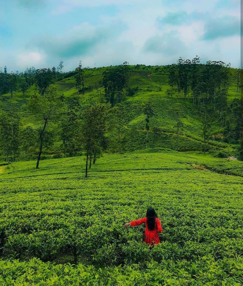 Ramboda - Ramboda, Sri Lanka