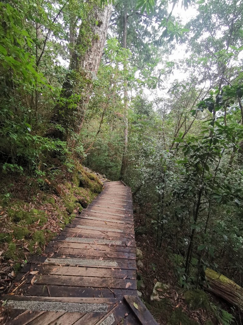 Daxue Mountain - Daxue Mountain, Tai'an Township, Miaoli County, Taiwan 365