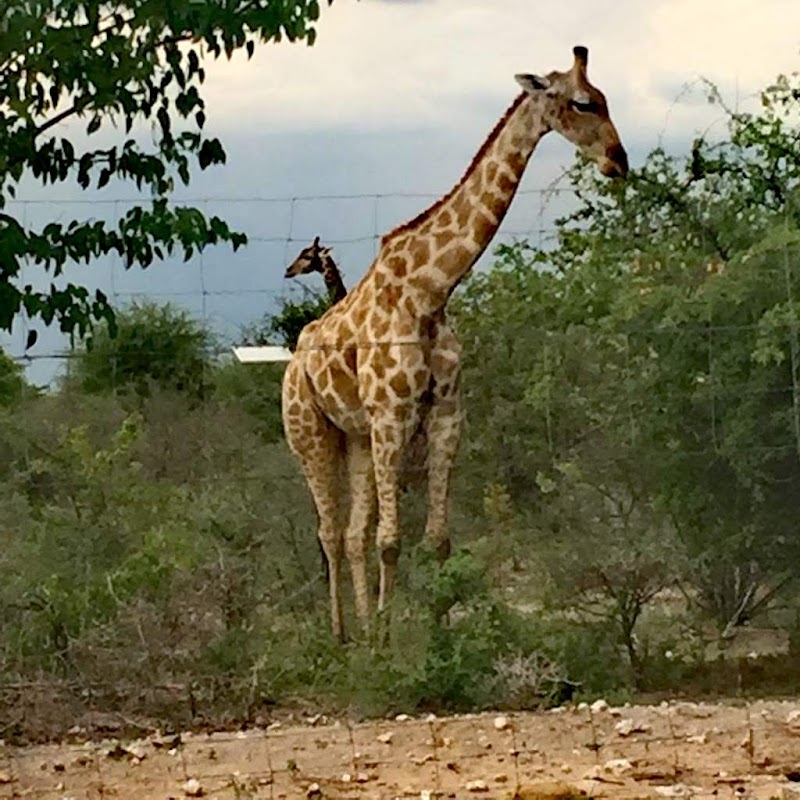 Maun - Maun, Botswana