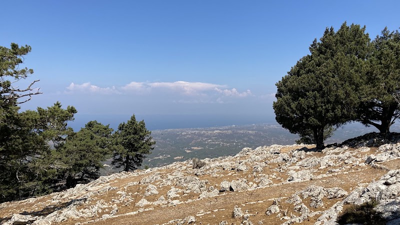 Profitis Ilias - Profitis Ilias Profitis Ilias, Kameiros 851 06, Greece