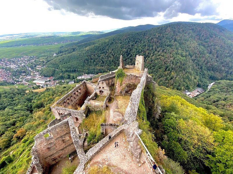 Château de Saint-Ulrich - Château de Saint-Ulrich, 68150 Ribeauvillé, France