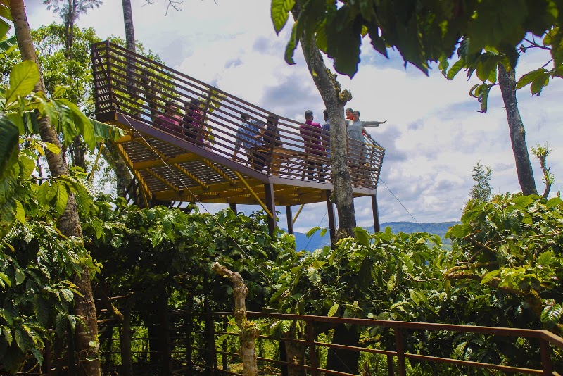 MOUNTAIN VIEW COFFEE PLANTATION