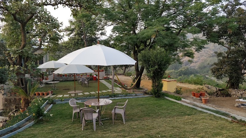 Forest Eco Resort (Resort Like Homestay) - Forest Eco Resort (Resort Like Homestay) Sunrise Valley Road, Near Check Post (Nagarpalika Tax Entry Point), Mt Abu Rd, Mt Abu, Mount Abu, Rajasthan 307501, India