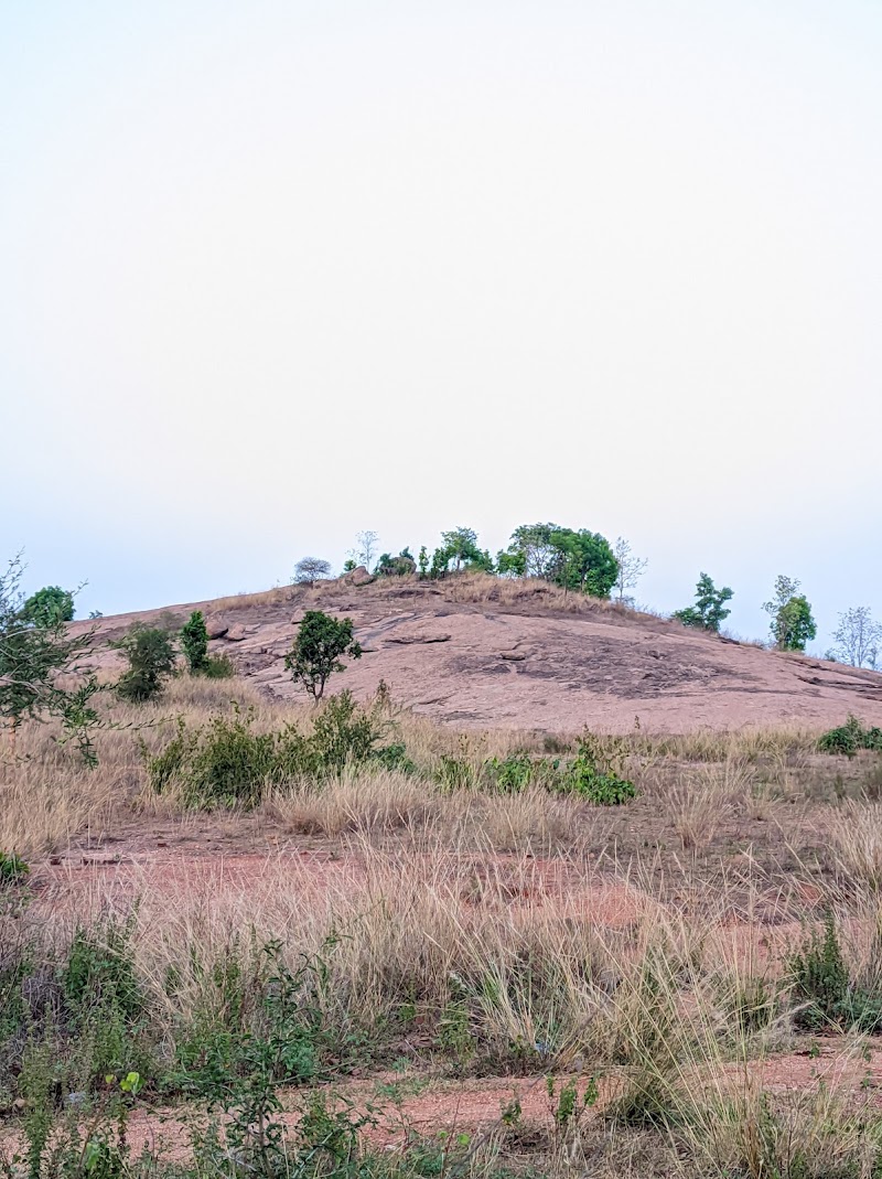 Jogi Dhipa (Makad Chuan) - Jogi Dhipa (Makad Chuan), P3RQ+QW7, Solbandh, Odisha 767025, India