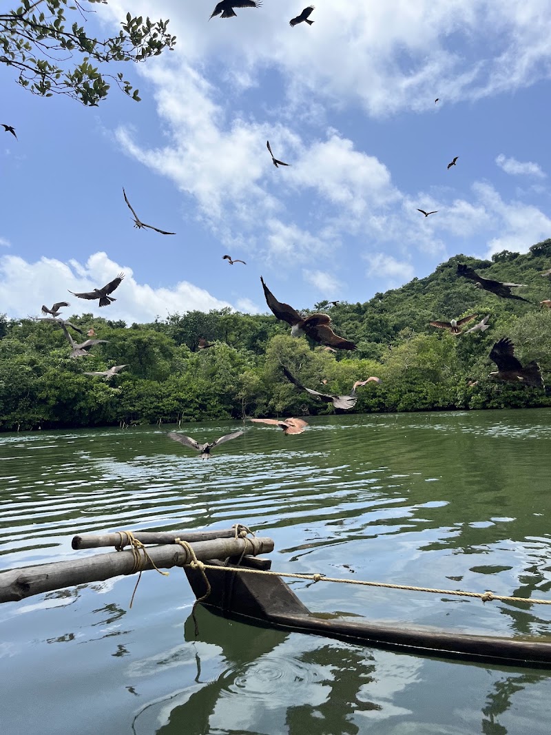 PALOLEM BEACH MANGROVE FOREST