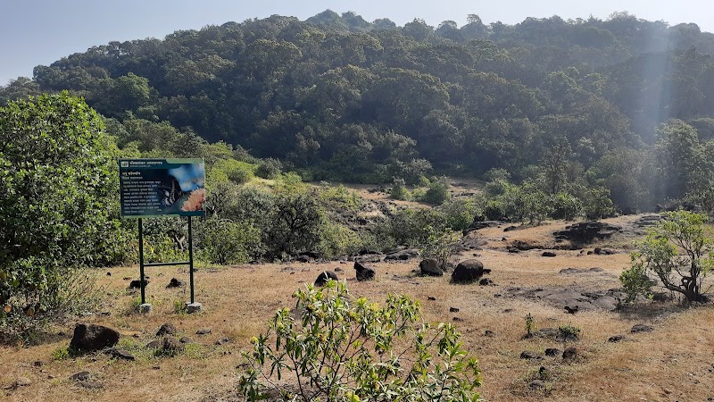 Bhimashankar Forest Reserve - Bhimashankar Forest Reserve, 3G8J+6RQ, Bhimashankar, Maharashtra 410509, India