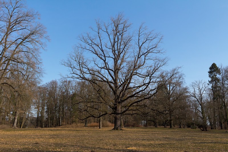 Zámecký park Hluboká - Zámecký park Hluboká, Hamry 1066, 373 41 Hluboká nad Vltavou, Czechia