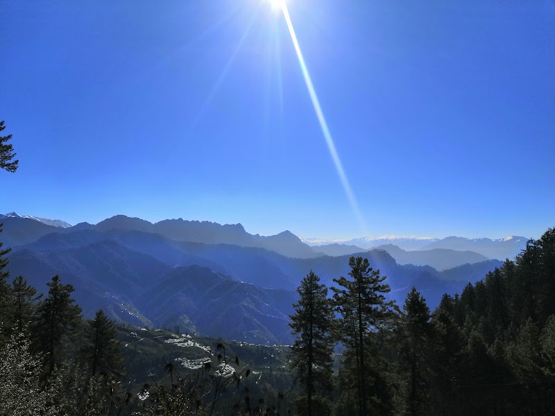 Narkanda Road - Narkanda Road, Narkanda Rd, Himachal Pradesh, India