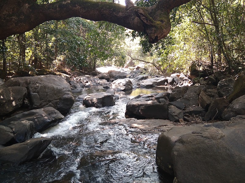 Dudhsagara Waterfall Camp Site - Dudhsagara Waterfall Camp Site Sonauli, Goa 403410, India