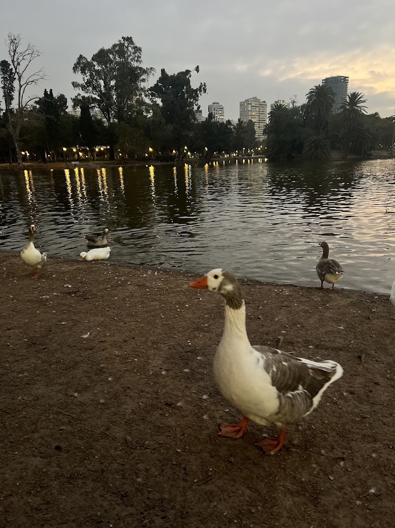 Paseo del Rosedal - Paseo del Rosedal, Av. Infanta Isabel, C1425 Cdad. Autónoma de Buenos Aires, Argentina