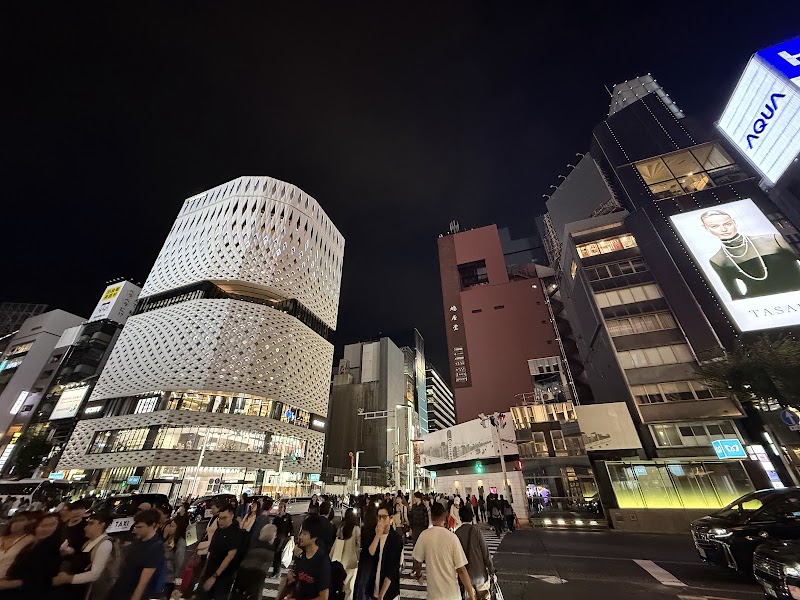 Ginza Station - Ginza Station 7 Ginza, Chuo City, Tokyo 104-0061, Japan