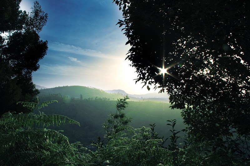 Misty Hills - Misty Hills Sogathorai Rd, Coonoor, Ketti, Tamil Nadu 643102, India