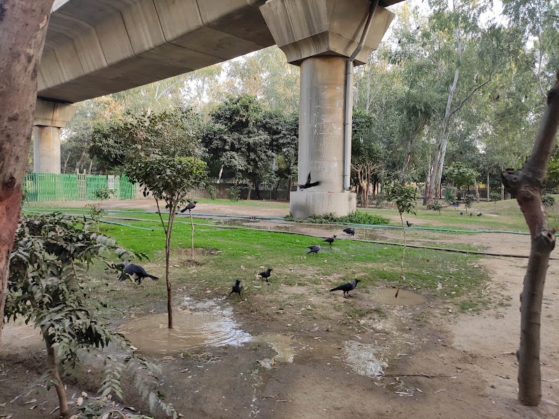 District Park I.P. Extension - District Park I.P. Extension, J8G6+C6F, Khichripur Rd, I.P.Extension, Patparganj, Delhi, 110092, India