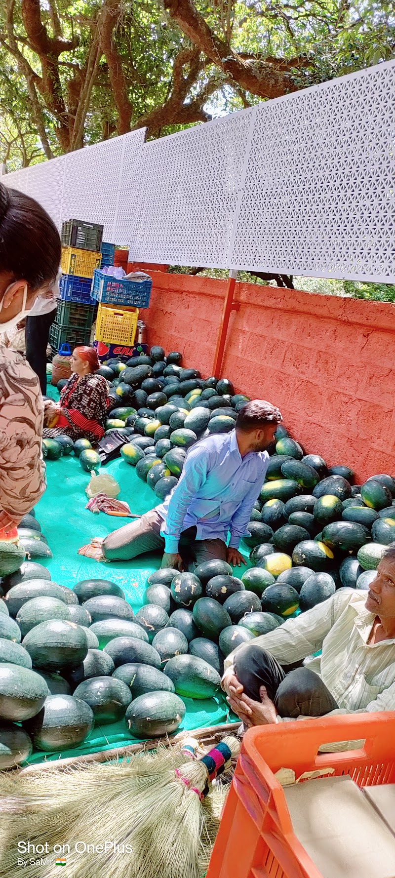 Mangalwar Market - Mangalwar Market, WMF7+548, Mahabaleshwar, Maharashtra 412806, India
