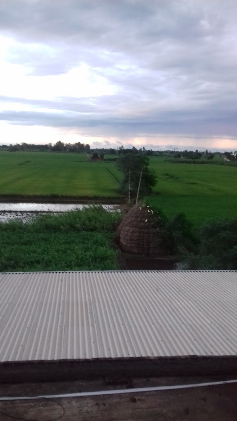 Jodhey - Jodhey, Punjab, India