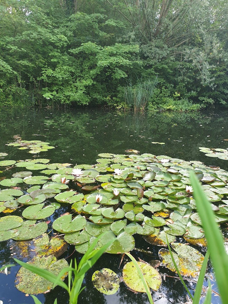 Parc de la Citadelle - Parc de la Citadelle 67000 Strasbourg, France