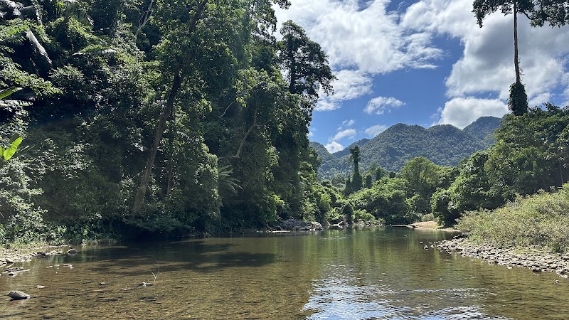 Phong Nha - Ke Bang National Park - Phong Nha - Ke Bang National Park Quang Binh Province, Vietnam