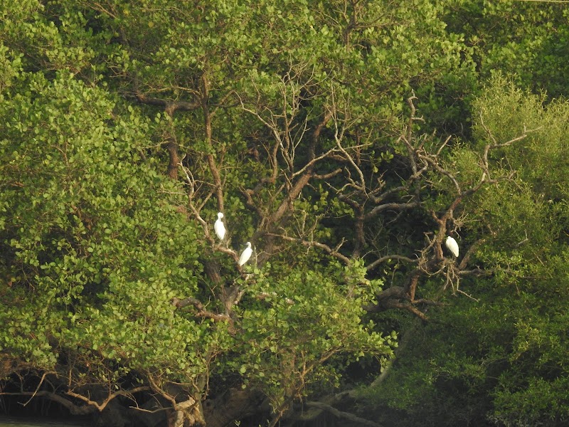 Kalinje - Kalinje Kalinje, Maharashtra 402110, India