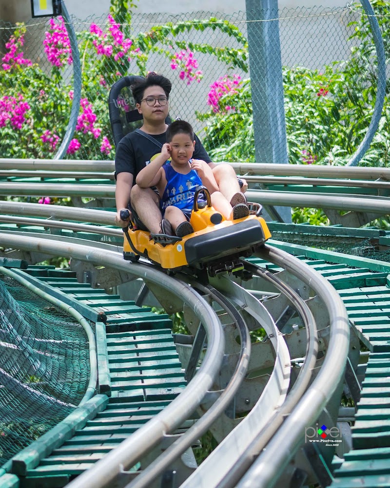 Đường lượn nhớ đời - Alpine Coaster - Đường lượn nhớ đời - Alpine Coaster, 668R+945, Nha Trang, Khanh Hoa, Vietnam
