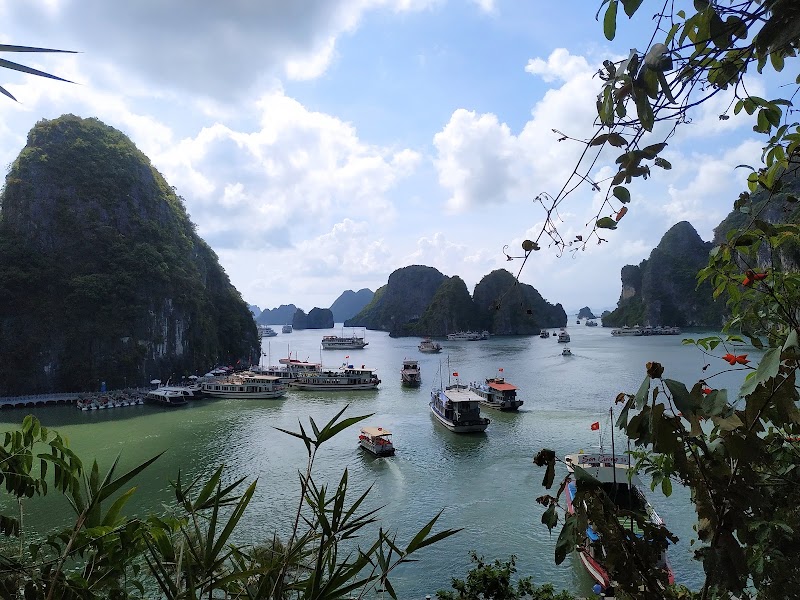 Paradise Peak Cruise - Paradise Peak Cruise, Gate 01, Tuan Chau Marina, Halong Bay, Halong, Quảng Ninh 200000, Vietnam