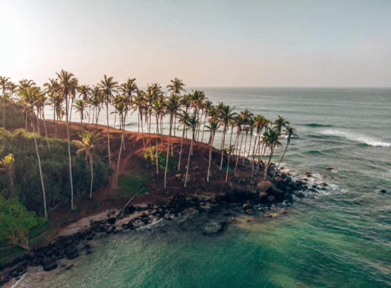 Coconut Tree Hill - Coconut Tree Hill Mirissa, Sri Lanka
