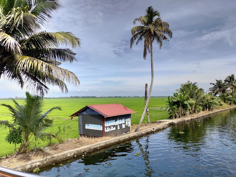 KTDCS KERALA (Kuttanad Tourism Development Co-Operative Society) - KTDCS KERALA (Kuttanad Tourism Development Co-Operative Society) G82Q+8G4, Alappuzha, Kerala 688001, India