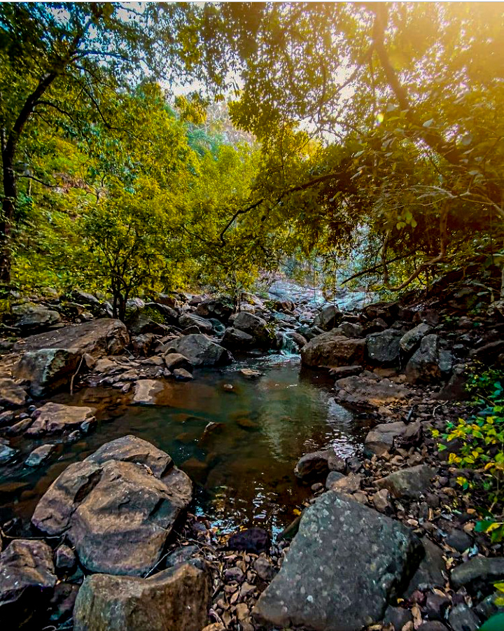 Mahuadanr - Mahuadanr, Jharkhand 822119, India