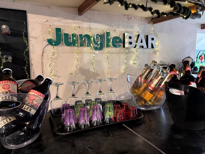 Jungle by sturmfrei Vagator | Poolside Boutique Stays - Jungle by sturmfrei Vagator | Poolside Boutique Stays Chapora Road, beside IBIS Styles, Chapora, Vagator, Goa 403509, India