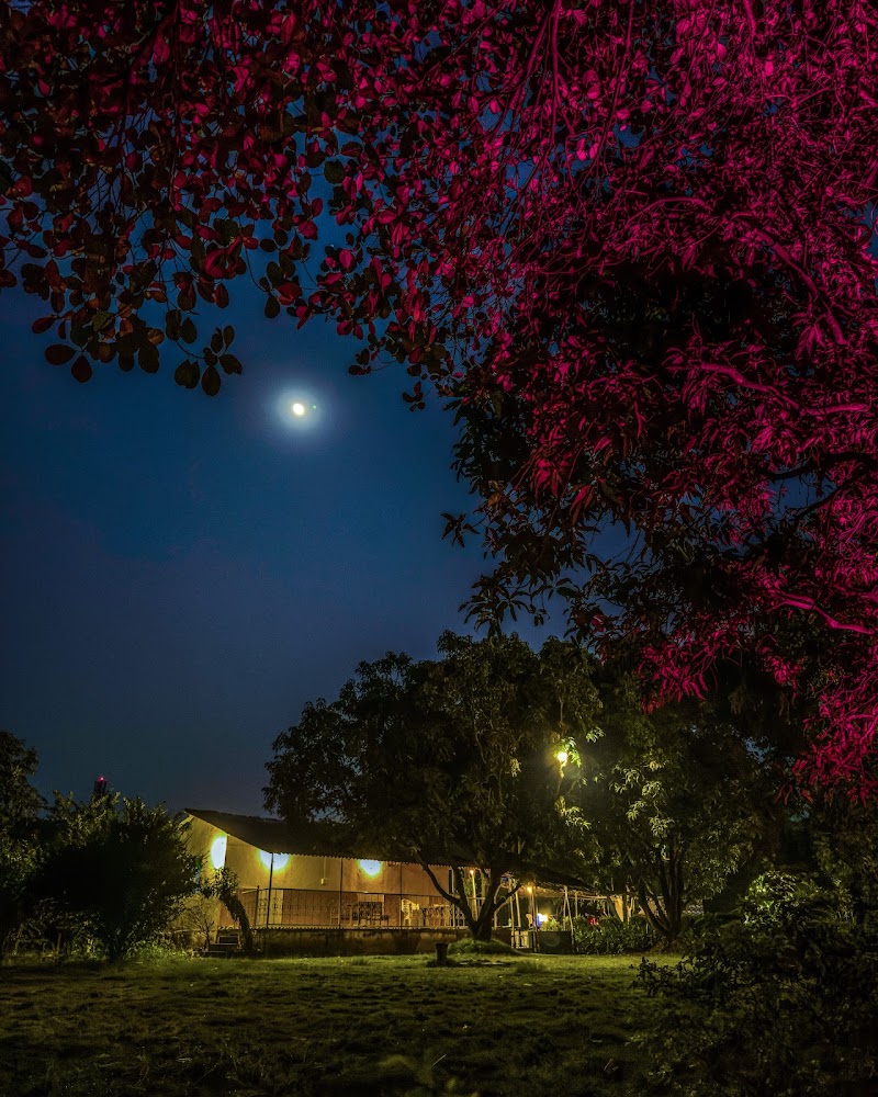 NB’s Nature Stay - NB’s Nature Stay at post, Panvel, Mosare, Maharashtra 410206, India