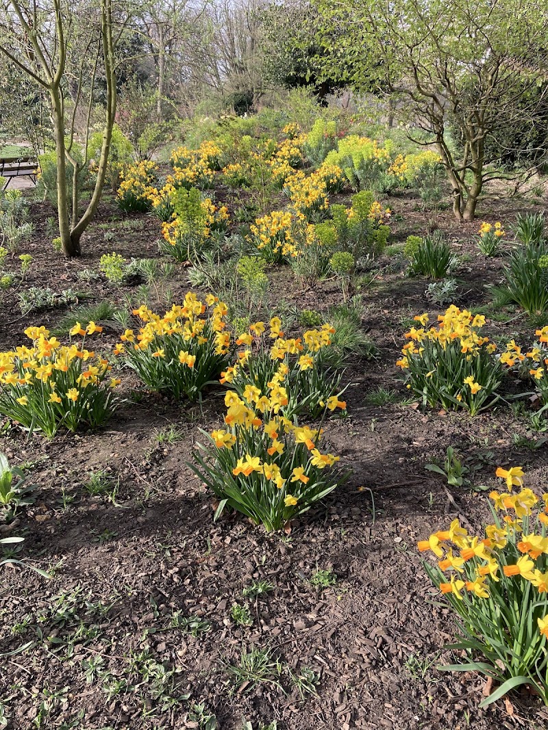 Victoria Park Old English Garden - Victoria Park Old English Garden, Grove Rd., Bow, London E3 5TB, UK