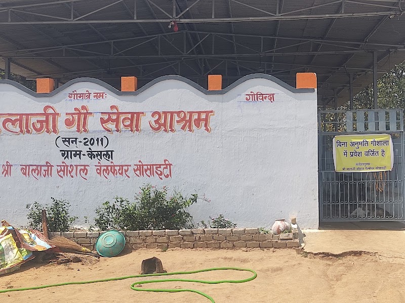 Sri Balaji Gau Seva Aashram - Sri Balaji Gau Seva Aashram, CR37+Q4, Korba, Chhattisgarh 495683, India