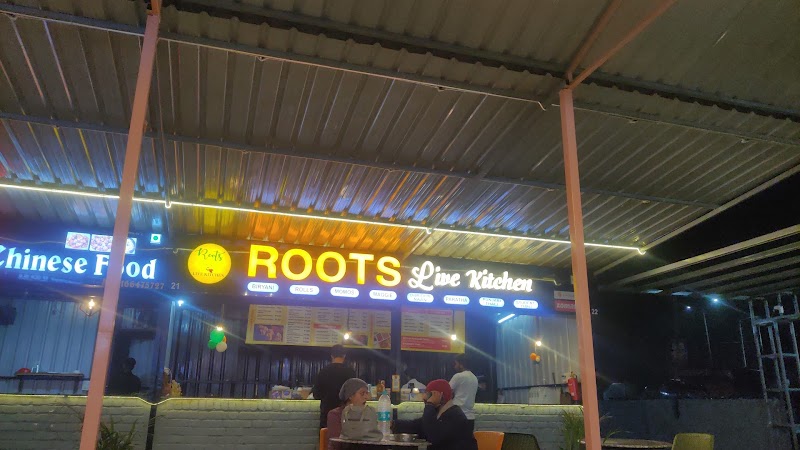 Roots Live Kitchen - Roots Live Kitchen Go for Eat Food Court, Opposite Rajasthan Vidhyapeeth College Airport Road, Old RTO Rd, Pratap Nagar, Udaipur, Rajasthan 313001, India