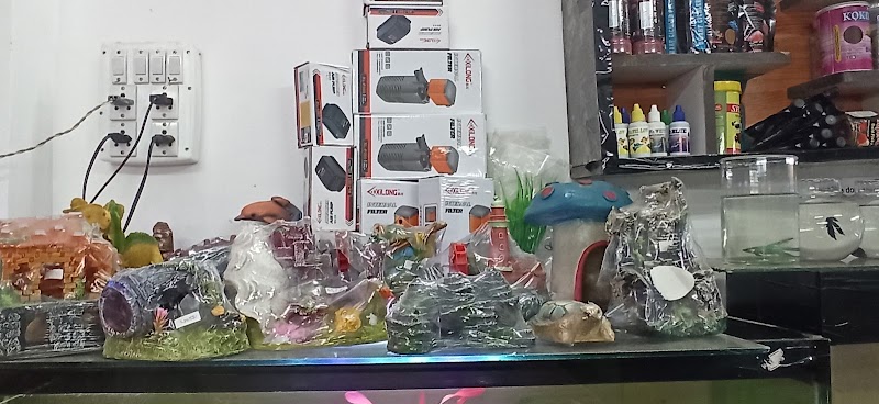 AR Fish hub - AR Fish hub, Street No. 1, Kohka, Bhilai, Chhattisgarh 490023, India