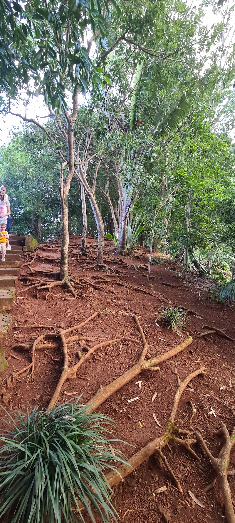 Chamarel - Chamarel, Mauritius