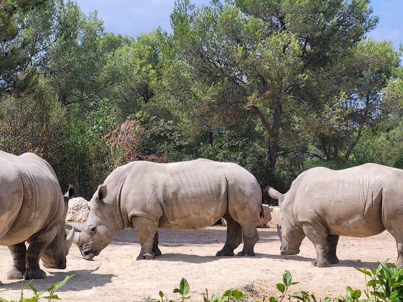 Zoo de Montpellier - Zoo de Montpellier 50 Av. Agropolis, 34090 Montpellier, France