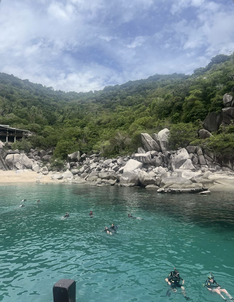 FIFTY SIX DIVE - FIFTY SIX DIVE, 10, Sairee Beach, 4, Tambon Ko Tao, Koh Tao, Chang Wat Surat Thani 84360, Thailand