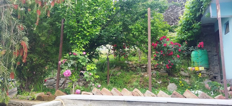 Mountain Front Inn B&B - Mountain Front Inn B&B MOUNTAIN FRONT INN HOME STAY, TO, Auli Rd, Joshimath, Uttarakhand 246443, India