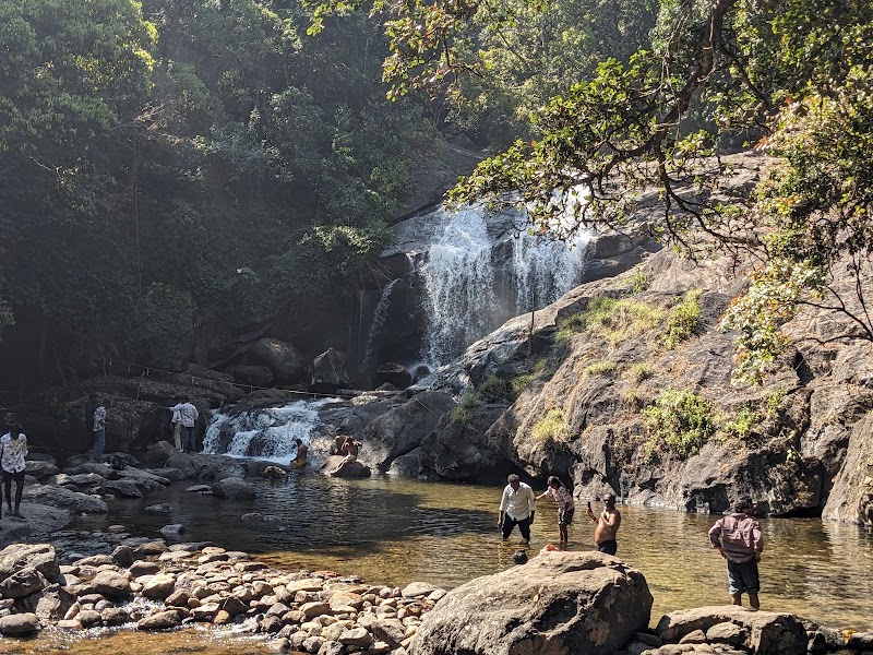 District Tourism Promotion Council(DTPC), Tourist information centre, Munnar - District Tourism Promotion Council(DTPC), Tourist information centre, Munnar Moolakadai, OLD AM ROAD,Mankulam-Munnar Trail, Moolakadai, Kannan Devan Hills, Munnar, Kerala 685612, India