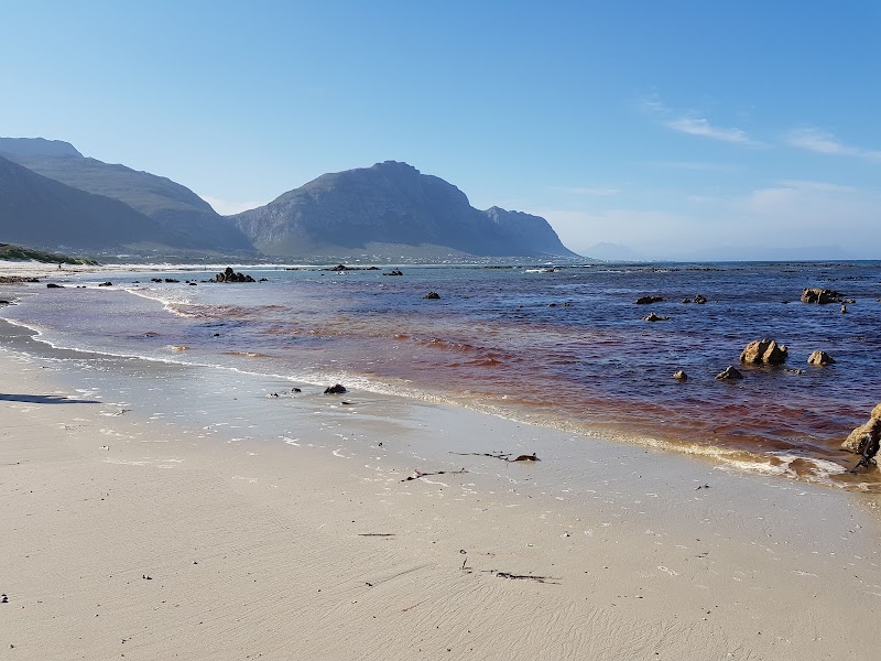 Betty's Bay Main Beach🪶 - Betty's Bay Main Beach🪶, 3780 Nerine Cres, Betty's Bay, 7141, South Africa
