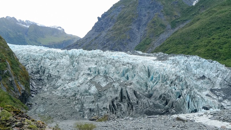 Fox Glacier Valley Walk - Fox Glacier Valley Walk, Westland Tai Poutini National Park Unnamed Rd, Westland National Park 7886, New Zealand, West Coast Region 7886, New Zealand